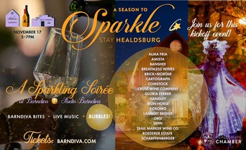 A Season to Sparkle November 17th