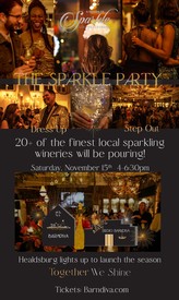 Barndiva Sparkle Party Nov 15th 2025